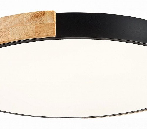 Потолочный светильник Evoluce Delia SLE201342-01