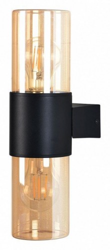 Настенный светильник уличный Arte Lamp Seginus A6515AL-2BK