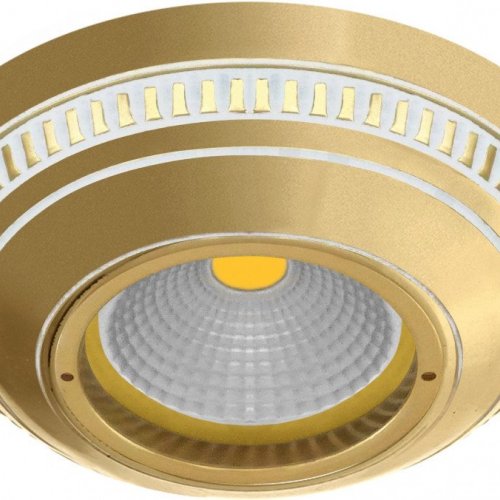 Точечный светильник Fede Roma FD1029ROP