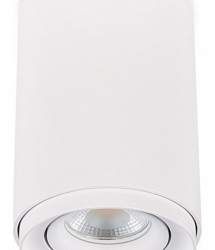 Накладной светильник SIMPLE STORY 2065 2065-1CLW