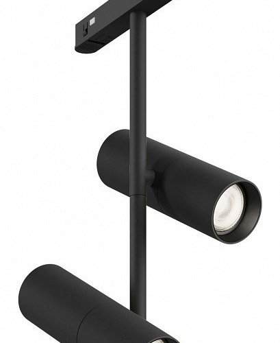 Трековый светильник Maytoni Elti Duo TR005-2-2X12W4K-B
