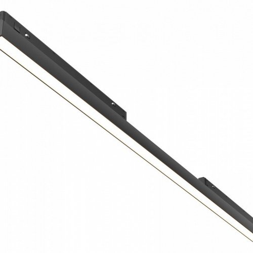 Трековый светильник Maytoni Basis TR030-2-30W3K-B