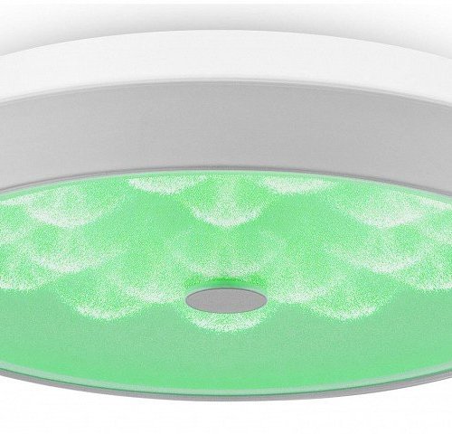 Накладной светильник Freya LED FR10012CL-L24W