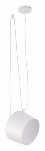 Подвесной светильник Evoluce Trieste SLE120653-01 Подвесной светильник Evoluce Trieste SLE120653-01