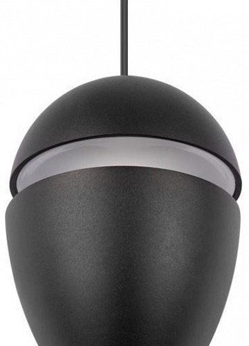 Подвесной светильник Loft IT Viterbo 10336 Black