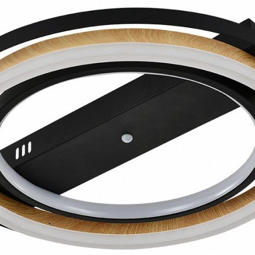 Потолочная люстра Escada Lagom 10247/2LED Потолочная люстра Escada Lagom 10247/2LED