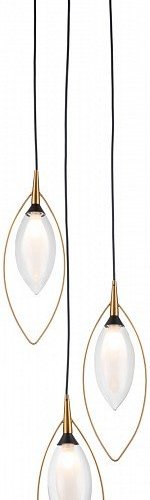 Подвесной светильник Indigo Fiore 13001/3P Black Подвесной светильник Indigo Fiore 13001/3P Black