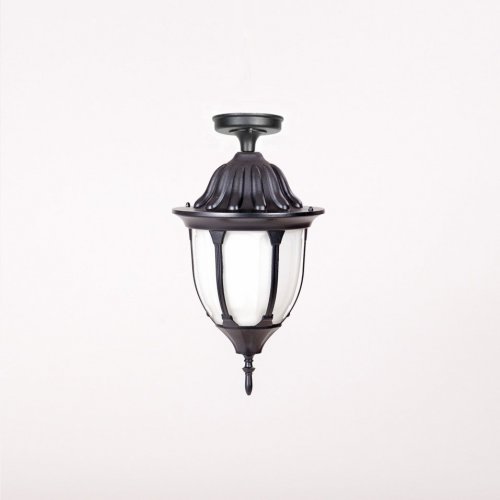 Потолочный светильник уличный Oasis Light GENUYA 92105A Bl