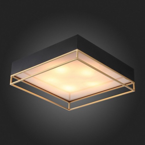 Потолочный светильник ST Luce Chodo SL1127.422.05 Потолочный светильник ST Luce Chodo SL1127.422.05