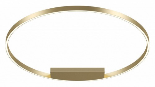 Потолочный светильник Maytoni Rim MOD058CL-L65BSK