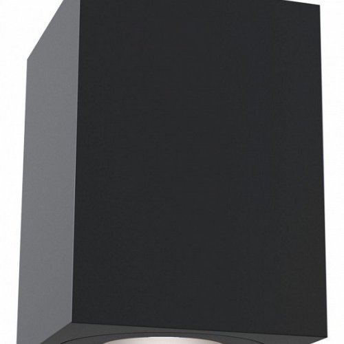 Потолочный светильник Maytoni Alfa C017CL-01B Потолочный светильник Maytoni Alfa C017CL-01B