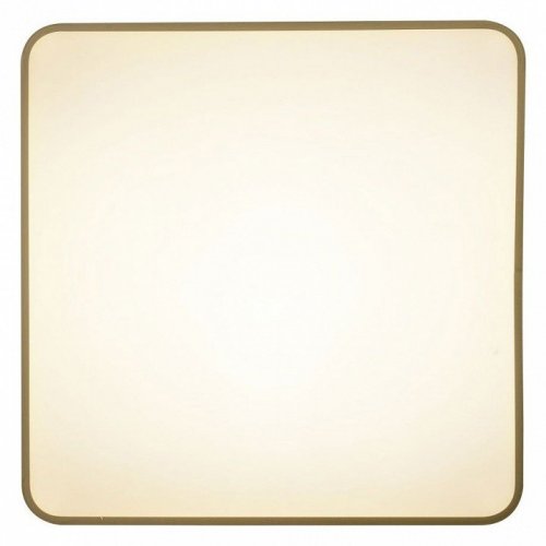 Потолочный светильник Zortes Gabby ZRS.1215.04