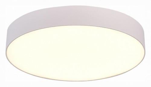 Потолочный светодиодный светильник ST Luce ST606.532.48