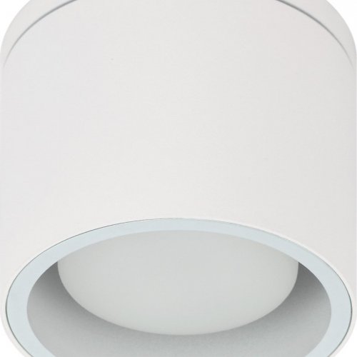 Точечный светильник ЭРА WL40 WH