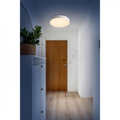 Настенно-потолочный светильник Sonex Optima 7779/ELN