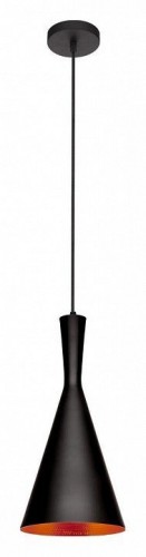 Подвесной светильник Loft IT Loft1843/C