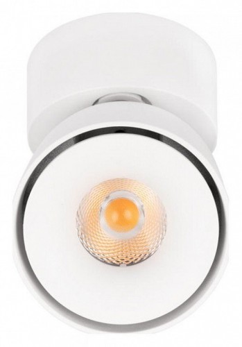 Спот Loft IT Focus 10323/A White