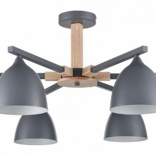 Потолочная люстра Lumion Colange 8096/6C Потолочная люстра Lumion Colange 8096/6C