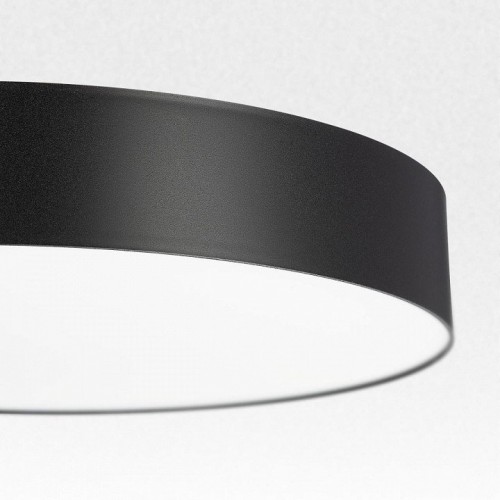 Потолочный светильник Citilux Bart CL755391