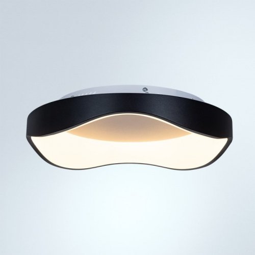 Потолочный светильник Arte Lamp A3085PL-48BK