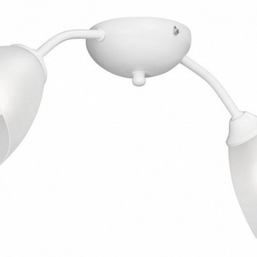 Потолочная люстра Vitaluce V3737-0/2PL Потолочная люстра Vitaluce V3737-0/2PL