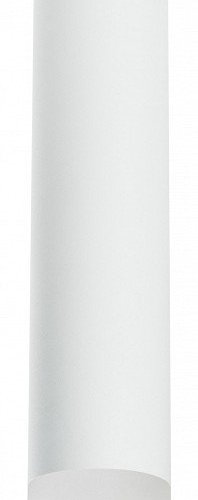 Точечный светильник Lightstar Rullo R49631 Точечный светильник Lightstar Rullo R49631