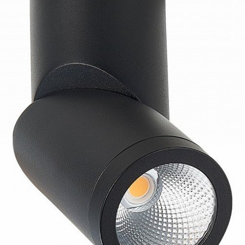 Светодиодный спот ST Luce ST650.442.10 Светодиодный спот ST Luce ST650.442.10