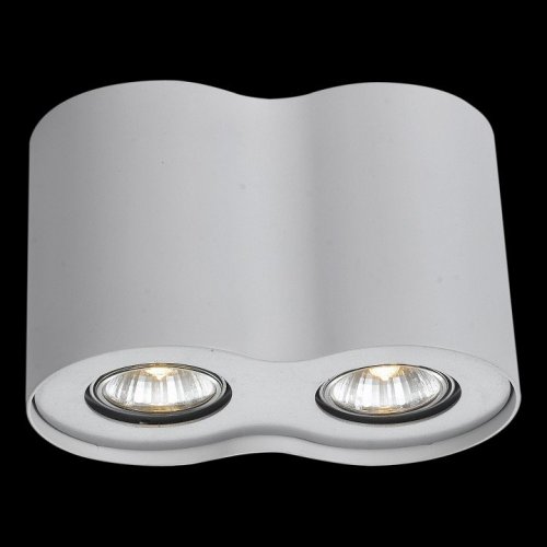 Потолочный светильник Arte Lamp Falcon A5633PL-2WH