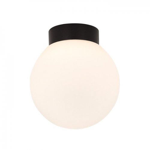 Настенно-потолочный светильник Munich DL18031G9Black 150