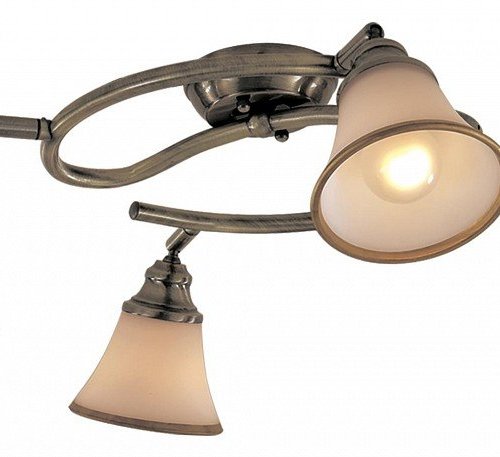 Спот Citilux Прованс CL511143