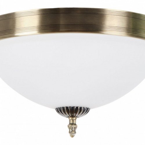 Потолочный светильник MyFar Biene MR1527-3C Потолочный светильник MyFar Biene MR1527-3C