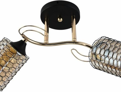 Потолочный светильник Reluce 01309-0.3-02 BK+FGD Потолочный светильник Reluce 01309-0.3-02 BK+FGD