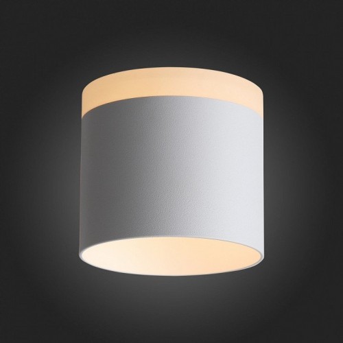 Потолочный светодиодный светильник ST Luce Panaggio ST102.502.12