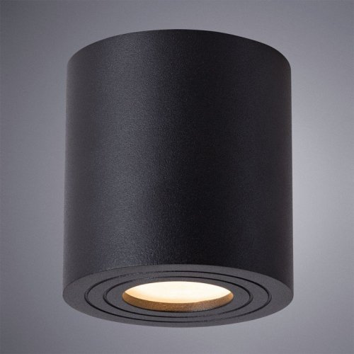 Потолочный светильник Arte Lamp Galopin A1460PL-1BK
