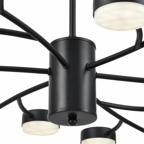 Потолочная люстра Lumion Torina 8117/18