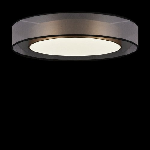 Потолочный светильник Freya Zoticus FR6005CL-L48G