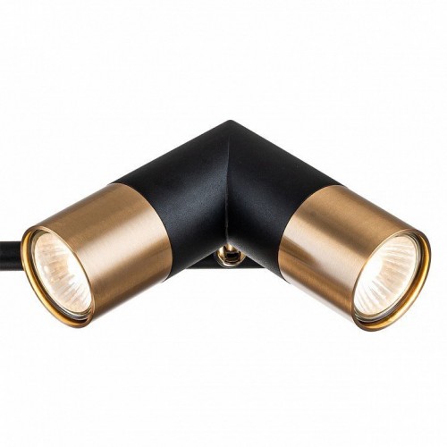 Люстра на штанге Indigo Doppio 11036/6R Black Люстра на штанге Indigo Doppio 11036/6R Black