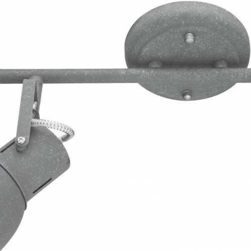 Спот Arte Lamp A1677PL-2GY