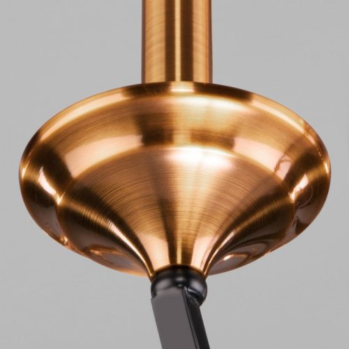 Подвесная люстра Eurosvet Lazzaro 60098/5