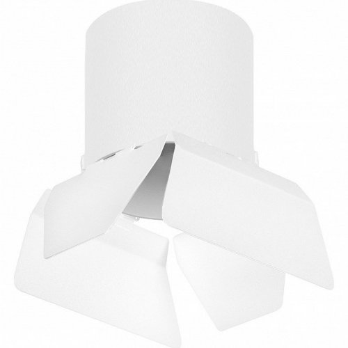 Точечный светильник Lightstar Rullo R3486486