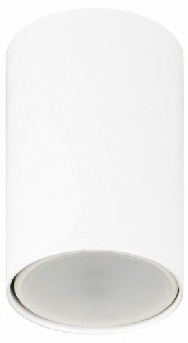 Накладной светильник Эра  OL57 WH