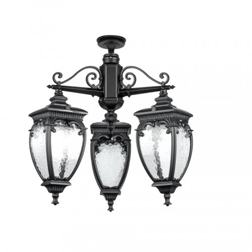 Потолочный светильник уличный Oasis Light VERONA 86270A/3 02 Bl