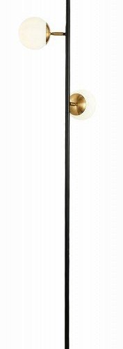 Торшер Evoluce Forli SLE220405-03