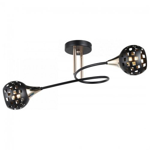 Потолочная люстра Imex MD.19074-2-S-BK+FGD