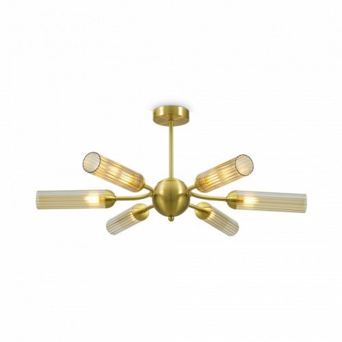 Потолочная люстра Borgy FR5379CL-06G