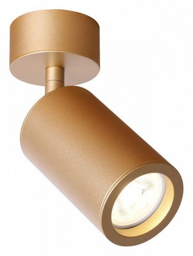 Спот Favourite Angularis 2802-1U Спот Favourite Angularis 2802-1U