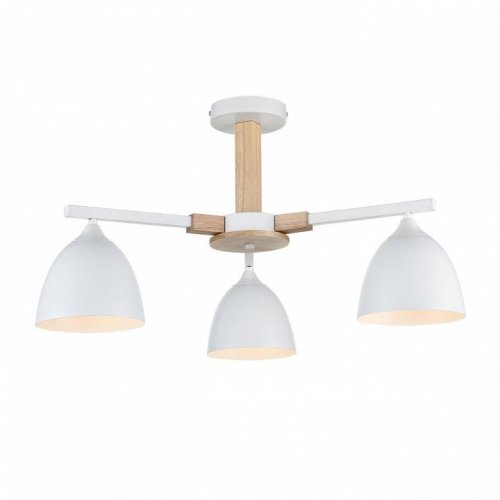 Потолочная люстра Lumion Colange 8095/3C