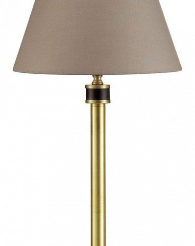 Настольная лампа Lumion Montana 4429/1T