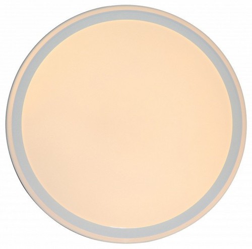 Потолочный светильник Zortes Bella ZRS.1200.09