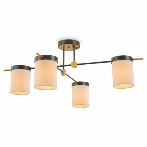 Потолочная люстра Freya Bogy FR5377CL-04B